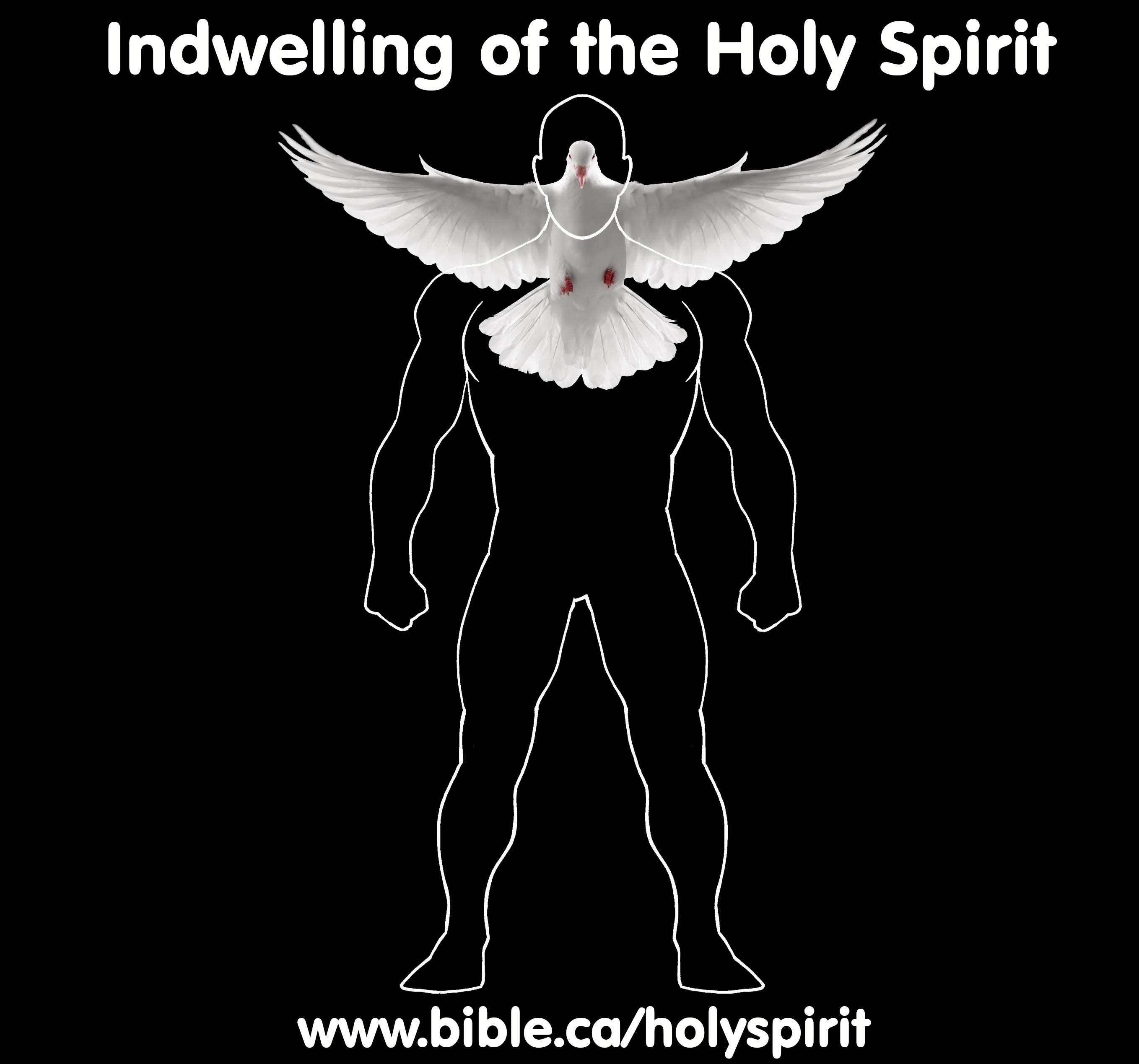 https://www.bible.ca/holyspirit/Holy-Spirit-Indwelling-metaphoric-temple-church-christian-body.jpg