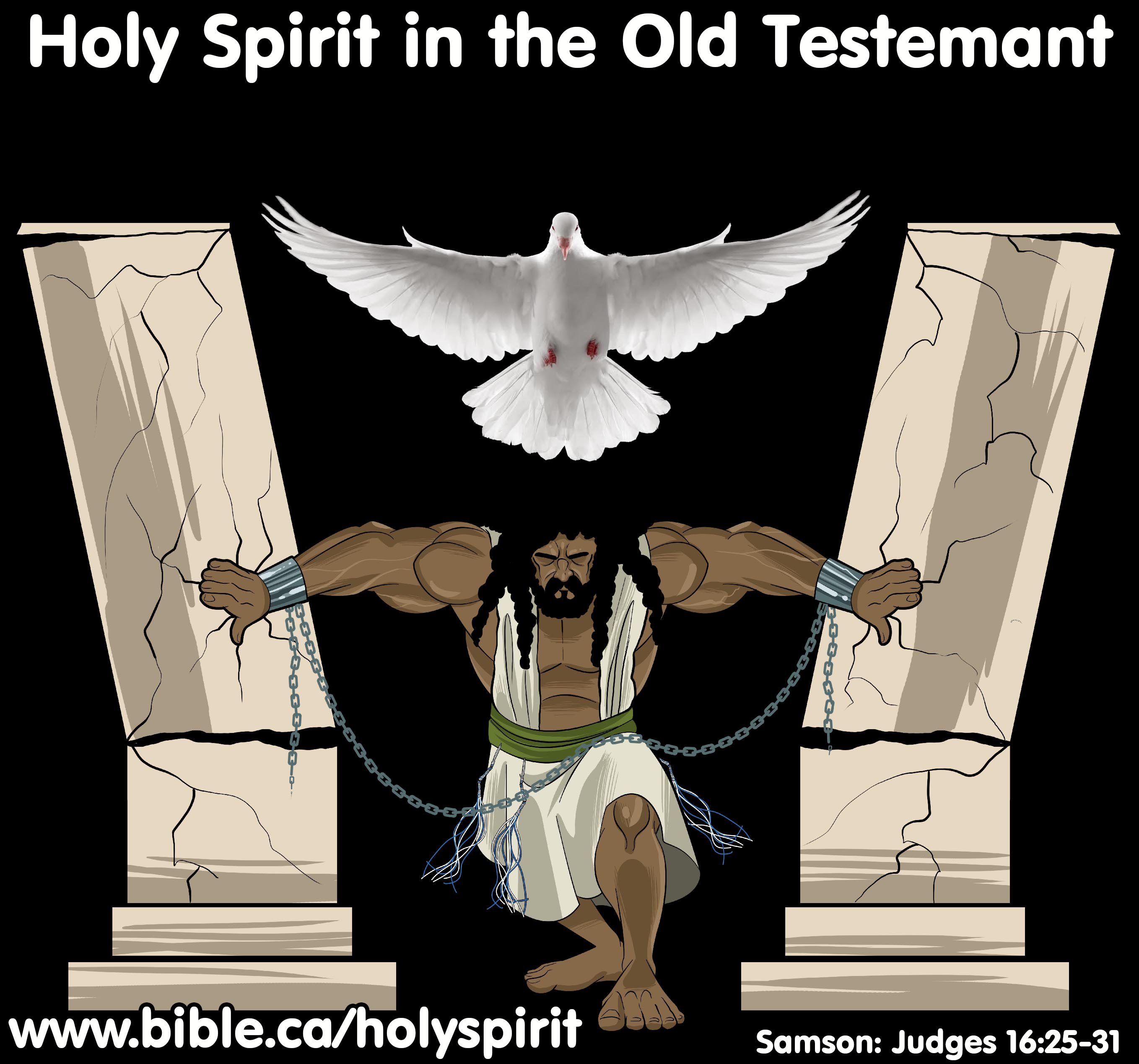 https://www.bible.ca/holyspirit/Holy-Spirit-in-the-Old-Testament-Samson-dove.jpg