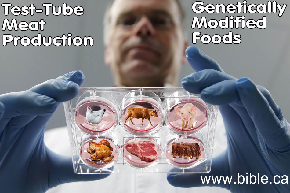 Happy meat farms пароль. Happy meat Farms Genome modification Test. Happy meat Farms Genome modification Test 043. Последствия экспериментов Happy meat Farms.